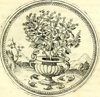 An illustration from Symbolorvm et emblematvm ex re herbaria desvmtorvm centvria vna (1590)