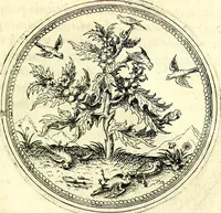 An illustration from Symbolorvm et emblematvm ex re herbaria desvmtorvm centvria vna (1590)