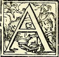 An illustration from Symbolorvm et emblematvm ex re herbaria desvmtorvm centvria vna (1590)