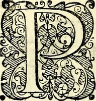 An illustration from Symbolorvm et emblematvm ex re herbaria desvmtorvm centvria vna (1590)