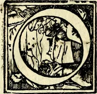 An illustration from Symbolorvm et emblematvm ex re herbaria desvmtorvm centvria vna (1590)