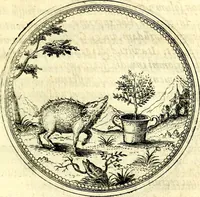 An illustration from Symbolorvm et emblematvm ex re herbaria desvmtorvm centvria vna (1590)