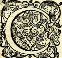 An illustration from Symbolorvm et emblematvm ex re herbaria desvmtorvm centvria vna (1590)