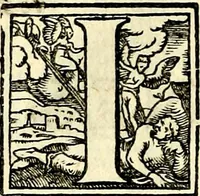 An illustration from Symbolorvm et emblematvm ex re herbaria desvmtorvm centvria vna (1590)