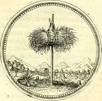 An illustration from Symbolorvm et emblematvm ex re herbaria desvmtorvm centvria vna (1590)