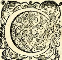 An illustration from Symbolorvm et emblematvm ex re herbaria desvmtorvm centvria vna (1590)