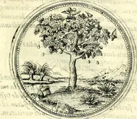 An illustration from Symbolorvm et emblematvm ex re herbaria desvmtorvm centvria vna (1590)