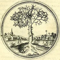 An illustration from Symbolorvm et emblematvm ex re herbaria desvmtorvm centvria vna (1590)