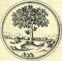 An illustration from Symbolorvm et emblematvm ex re herbaria desvmtorvm centvria vna (1590)