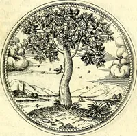 An illustration from Symbolorvm et emblematvm ex re herbaria desvmtorvm centvria vna (1590)
