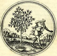 An illustration from Symbolorvm et emblematvm ex re herbaria desvmtorvm centvria vna (1590)