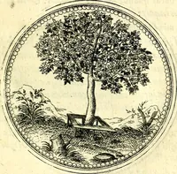 An illustration from Symbolorvm et emblematvm ex re herbaria desvmtorvm centvria vna (1590)