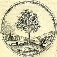 An illustration from Symbolorvm et emblematvm ex re herbaria desvmtorvm centvria vna (1590)