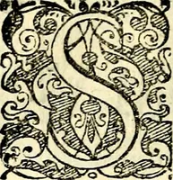 An illustration from Symbolorvm et emblematvm ex re herbaria desvmtorvm centvria vna (1590)