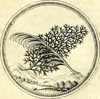 An illustration from Symbolorvm et emblematvm ex re herbaria desvmtorvm centvria vna (1590)