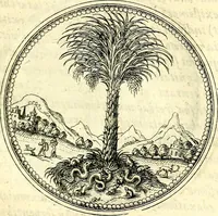 An illustration from Symbolorvm et emblematvm ex re herbaria desvmtorvm centvria vna (1590)