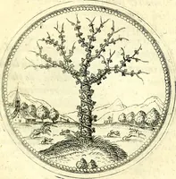 An illustration from Symbolorvm et emblematvm ex re herbaria desvmtorvm centvria vna (1590)