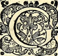 An illustration from Symbolorvm et emblematvm ex re herbaria desvmtorvm centvria vna (1590)