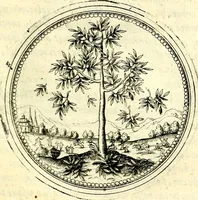 An illustration from Symbolorvm et emblematvm ex re herbaria desvmtorvm centvria vna (1590)