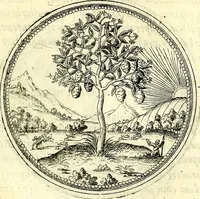 An illustration from Symbolorvm et emblematvm ex re herbaria desvmtorvm centvria vna (1590)