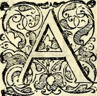 An illustration from Symbolorvm et emblematvm ex re herbaria desvmtorvm centvria vna (1590)