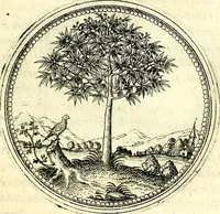 An illustration from Symbolorvm et emblematvm ex re herbaria desvmtorvm centvria vna (1590)