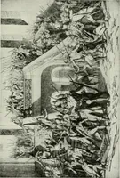 Picture 82 of 175 from Symbol and satire in the French Revolution (1912), leaf 204