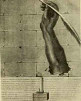 Picture 134 of 180 from Symbol and satire in the French Revolution (1912), leaf 324