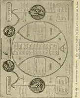 Picture 177 of 180 from Symbol and satire in the French Revolution (1912), leaf 439