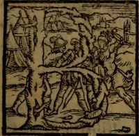 An illustration from Synopsis eorum, quae de balneis, aliisq[ue] miraculis Puteolanis scripta sunt (1566)