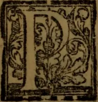 An illustration from Synopsis eorum, quae de balneis, aliisq[ue] miraculis Puteolanis scripta sunt (1566)