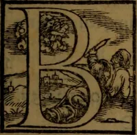 An illustration from Synopsis eorum, quae de balneis, aliisq[ue] miraculis Puteolanis scripta sunt (1566)