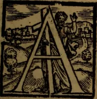 An illustration from Synopsis eorum, quae de balneis, aliisq[ue] miraculis Puteolanis scripta sunt (1566)