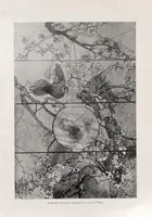 Picture 2 of 9 from A synopsis of the exhibit of the Tiffany Glass and Decorating Company in the American Section of the Manufactures and Liberal Arts Building at the World's Fair, Jackson Park, Chicago, Ill., 1893, with an appendix on Memorial Windows (1893), leaf 7