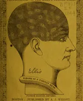 Picture 1 of 5 from Synopsis of phrenology: presenting general principles of the science, a description of the mental organs, and their location; also a combination, showing the manner in which they assist or counteract each other (1844), leaf 2
