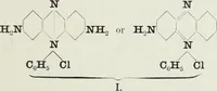 An illustration from The synthetic dyestuffs : and the intermediate products from which they are derived (1905)