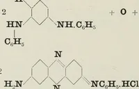 Picture 11 of 36 from The synthetic dyestuffs : and the intermediate products from which they are derived (1905), leaf 163