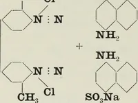 Picture 24 of 36 from The synthetic dyestuffs : and the intermediate products from which they are derived (1905), leaf 251