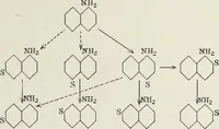 An illustration from The synthetic dyestuffs : and the intermediate products from which they are derived (1905)