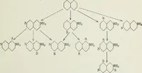 An illustration from The synthetic dyestuffs : and the intermediate products from which they are derived (1905)