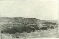 An illustration from Syria (1920)