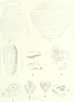Picture 61 of 175 from Syria (1920), leaf 172