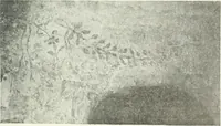 An illustration from Syria (1920)