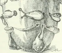 An illustration from Syria (1920)
