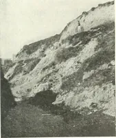 An illustration from Syria (1920)