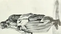 An illustration from Syria (1920)