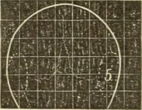 An illustration from A system of phrenology (1835)