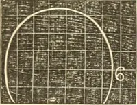 An illustration from A system of phrenology (1835)