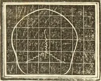 An illustration from A system of phrenology (1835)