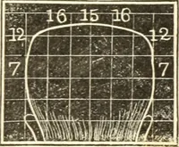 An illustration from A system of phrenology (1835)